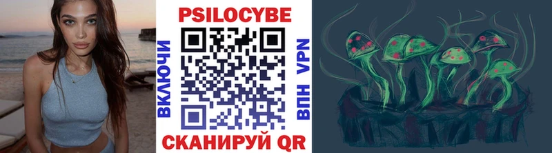 Купить  Хотьково  Галлюциногенные грибы мицелий 